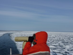 網走流冰觀光破冰船