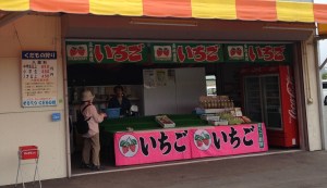 Takashina Fruit Farm