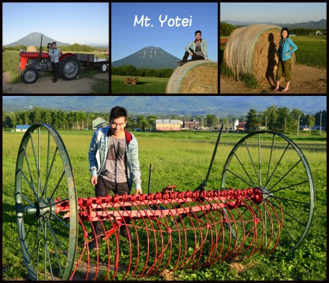 遊客可撮影甚至坐上車輛拍攝，彷如置身大草原牧場內。