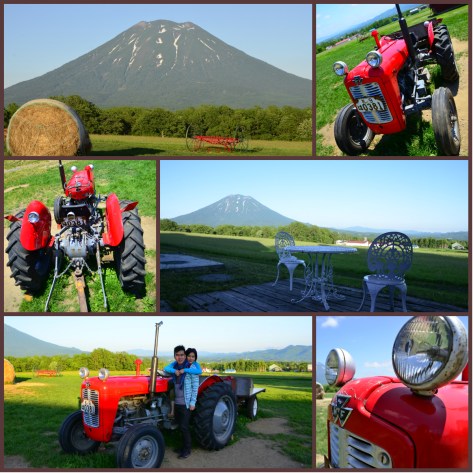 高橋牧場 Milk工房