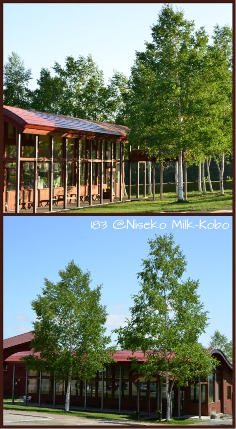 高橋牧場「二世古milk工房」，