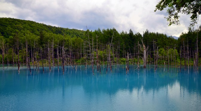 青池 ~ 即使日本人都大讚