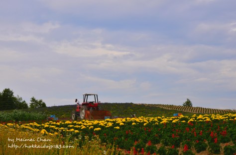 Kanno Farm かんのファーム