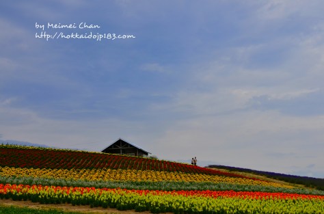 Leisurely strolling along