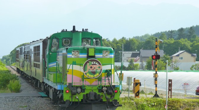 夏天去花田必坐特色觀光列車