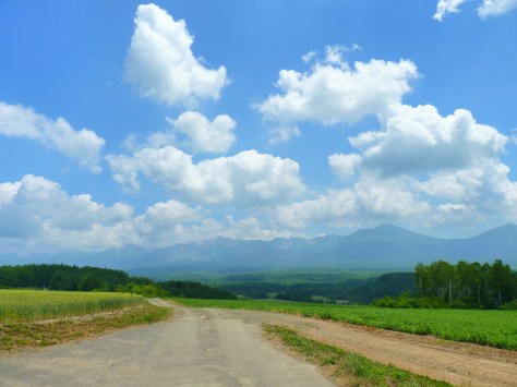 旭野やまびこ高地