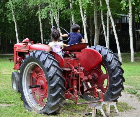 車尾有踏腳輔助遊人自行騎上去坐!