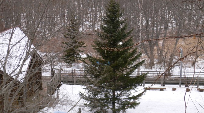 北海道各地聖誕特設