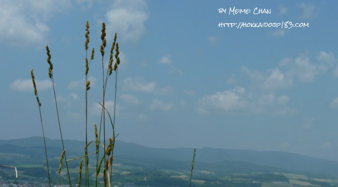 上富良野八景 ~ 和田草原とどんぐりの郷